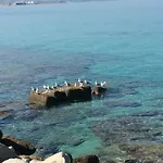 Apartment Marina Holiday
